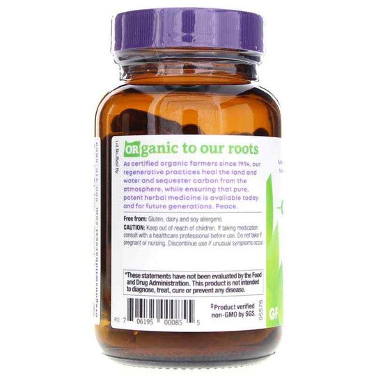 Milk Thistle Dandelion, OWH